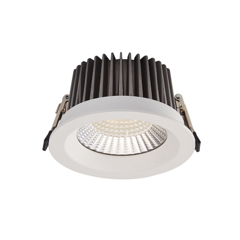 Waterproof Led Downlights 20W