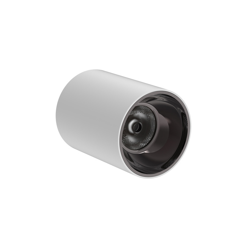 Surface Mounted Downlights IP65