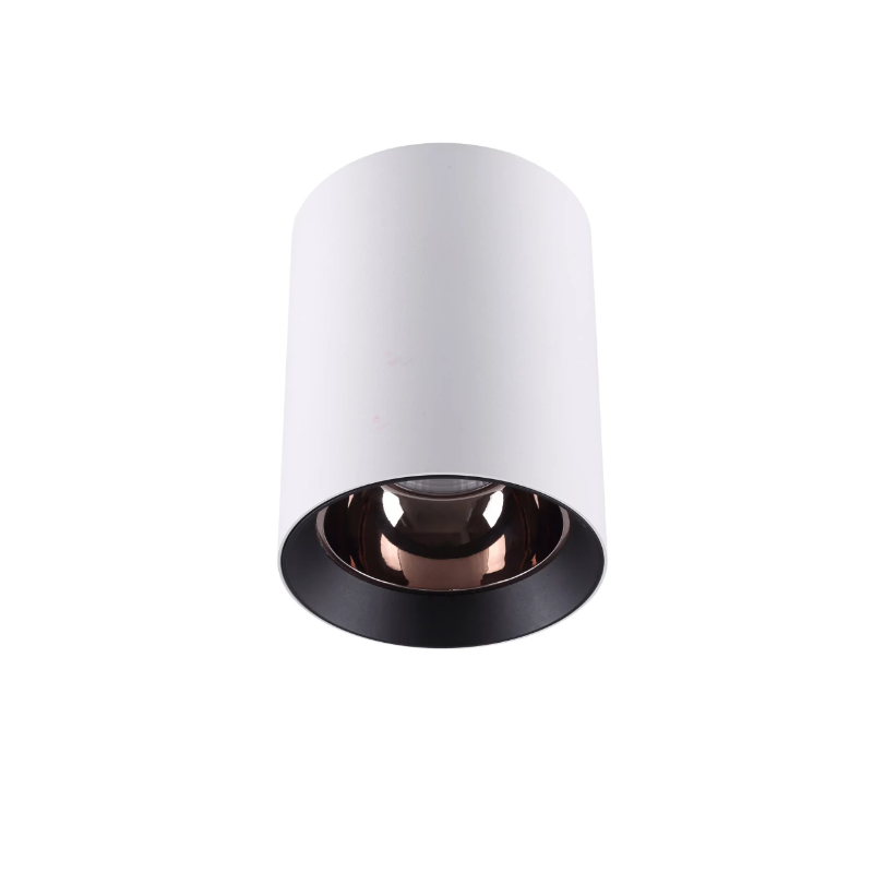 Surface Mounted Downlights