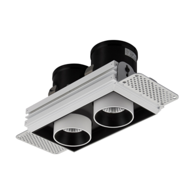 Adjustable Double Head Downlights
