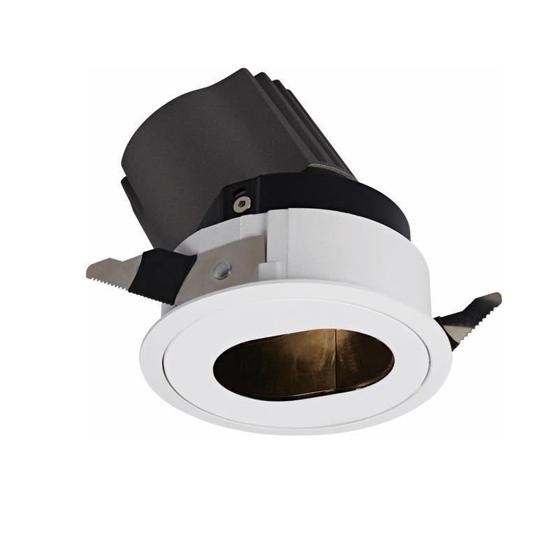 Adjustable Led Downlights