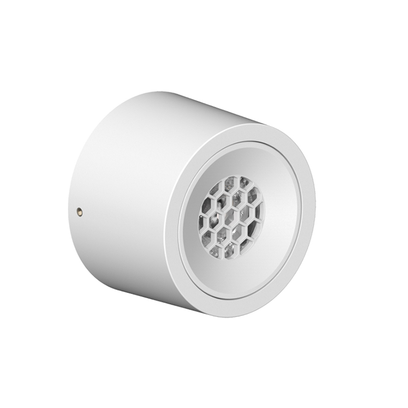 Surface Mounted Downlights