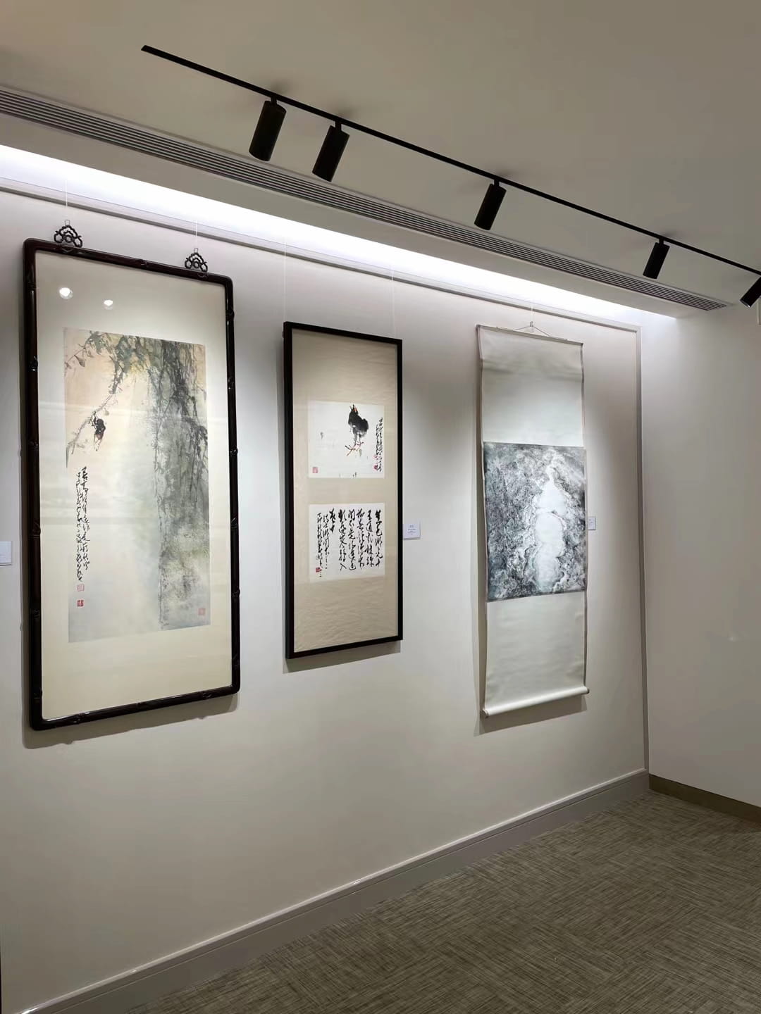 Museums Led Track Lights